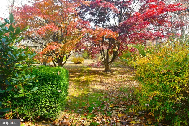 a view of yard with green space