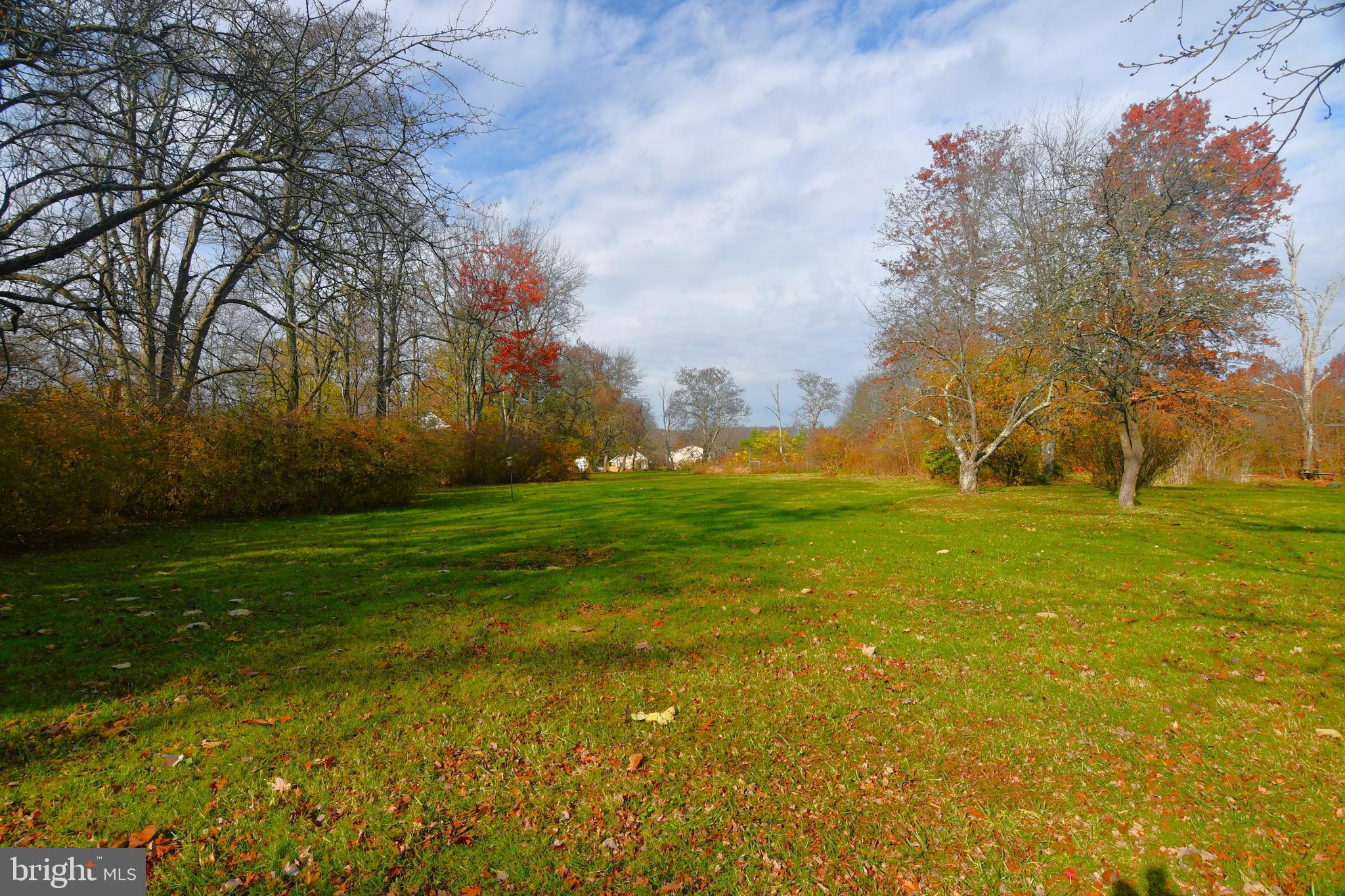 3923 Ferry Road Doylestown, PA 18902 - Photo 27 of 27 a view of yard with green space