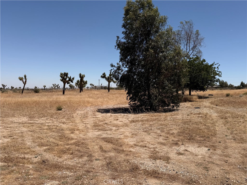 12225 Lager Road Phelan, CA 92371 - Photo 4 of 18 Front yard