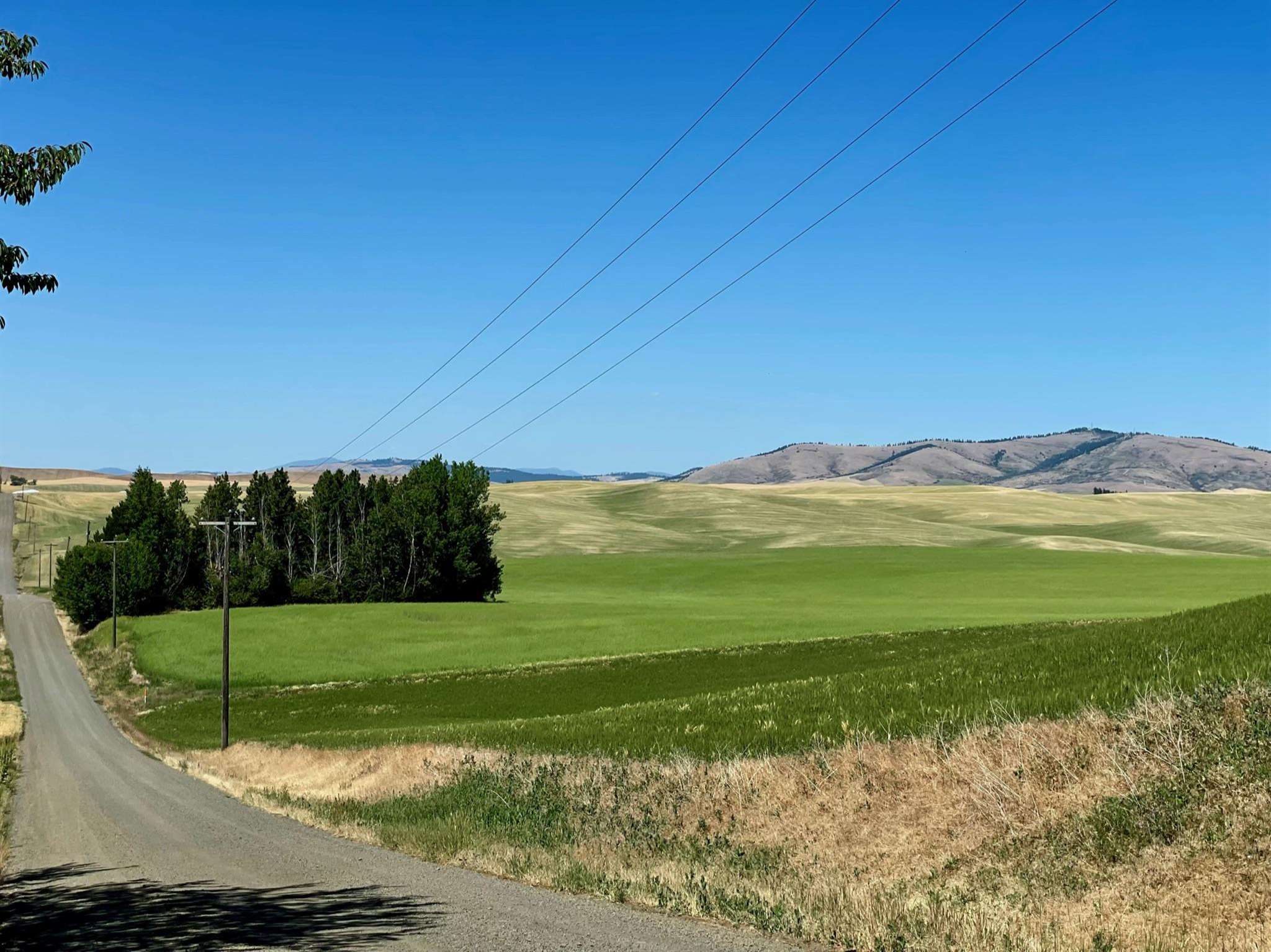 1002 Fanning Road Oakesdale, WA 99158 - Photo 20 of 28 Gallery Image 20