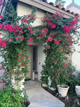 a view of a yard