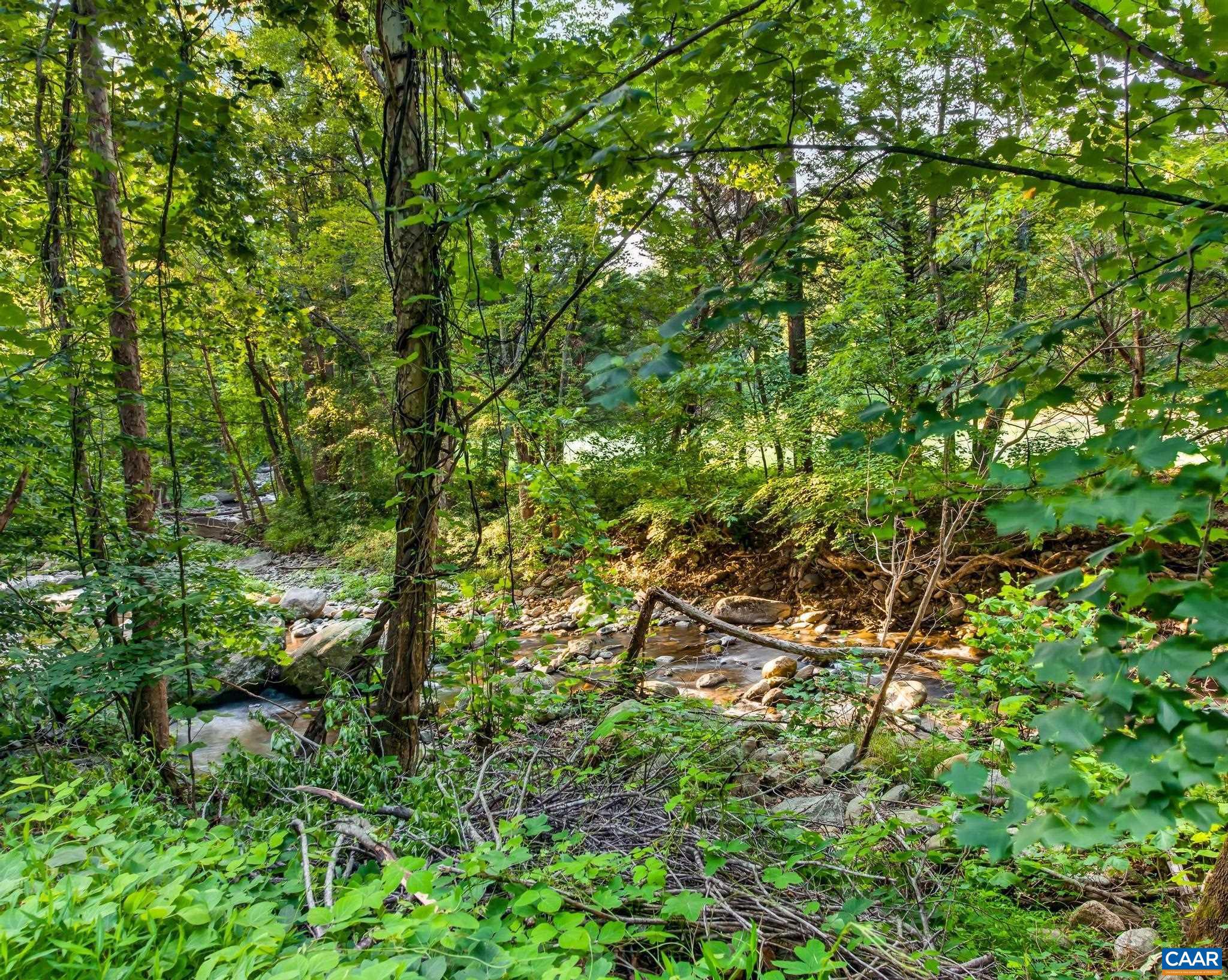 329 Jones Mountain Road Madison, VA 22727 - Photo 40 of 47