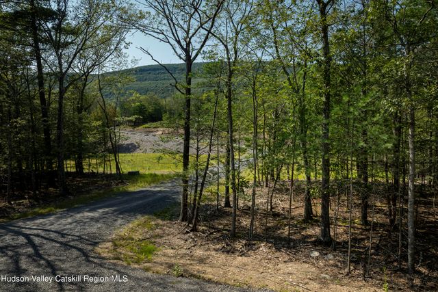 a view of a yard with plants and large trees