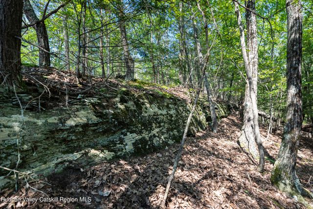 a view of outdoor space and tree