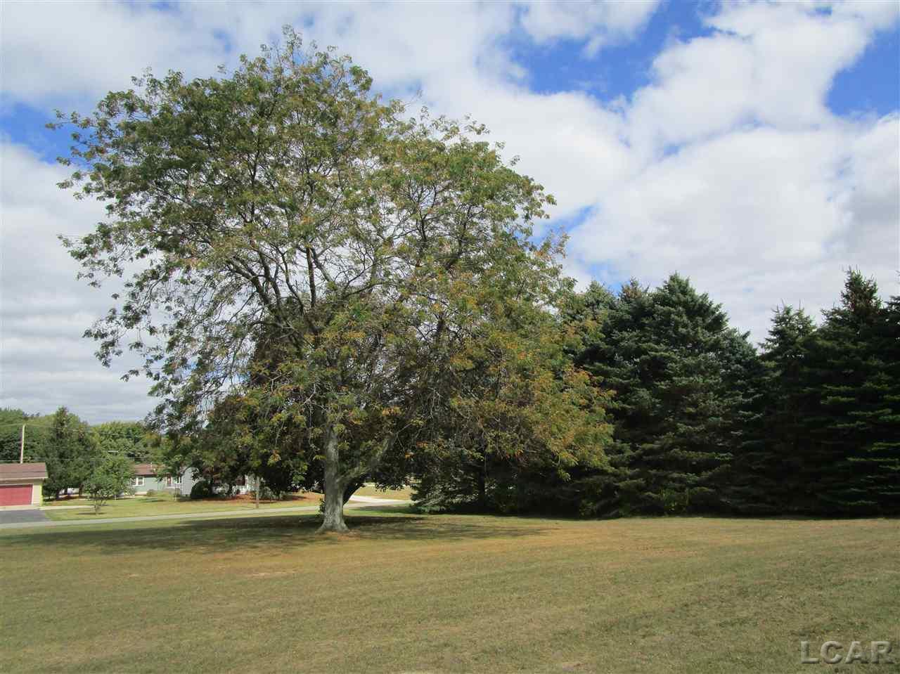 1931 Oakwood Road Adrian, MI 49221 - Photo 7 of 25 31332223-6.JPG