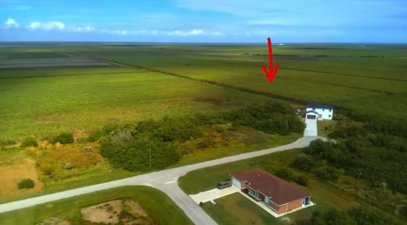 a view of a swimming pool with a yard