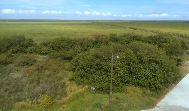a view of an ocean from a yard