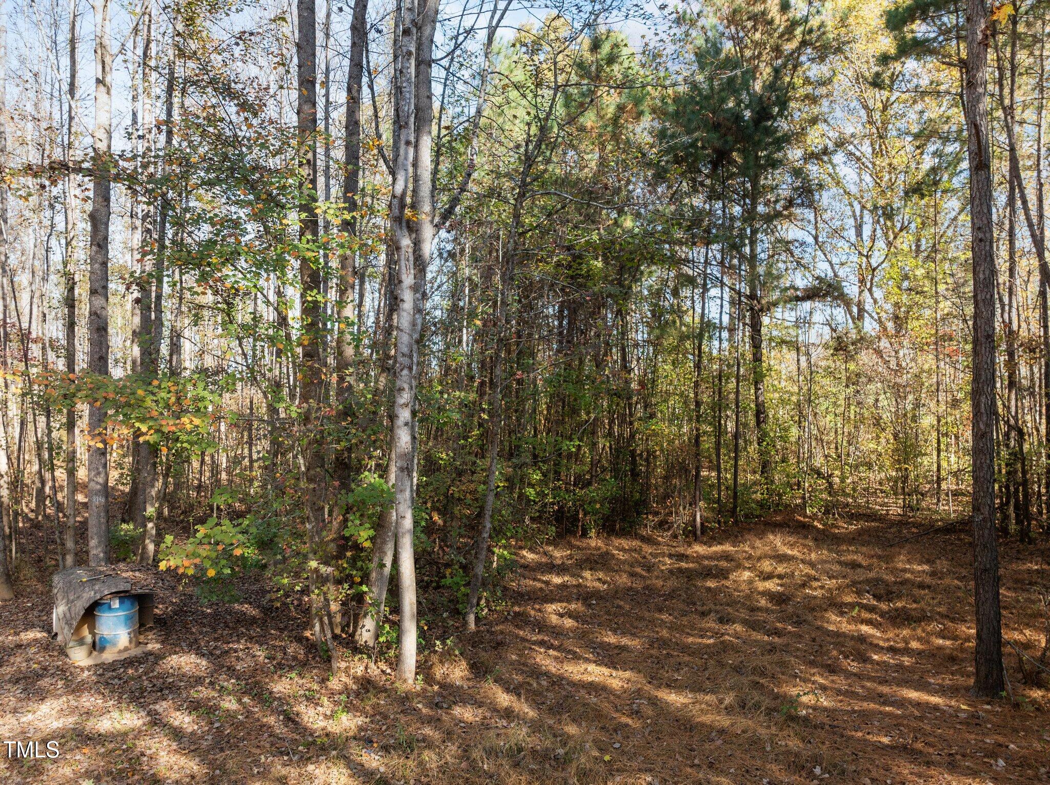 4045 Overton Road Franklinton, NC 27525 - Photo 15 of 40 15-web-or-mls-DJI_0969