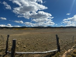 502 Link Road Como, CO 80432 - Photo 3 of 9 View of yard with a rural view