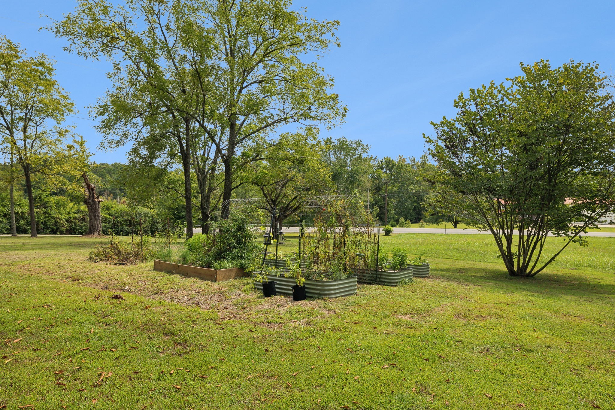 2085 Buffalo Valley Road Cookeville, TN 38501 - Photo 59 of 69 Gallery Image 59
