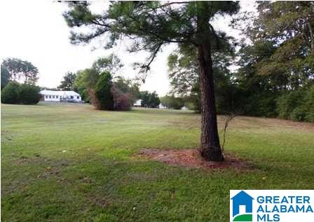 1246 Lock 4 Road Lincoln, AL 35096 - Photo 10 of 30 Gallery Image 10