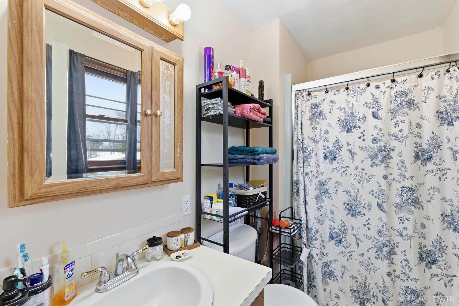 5225 Blue Ridge Drive Gretna, VA 24557 - Photo 17 of 28 a bathroom with a sink toilet and shower