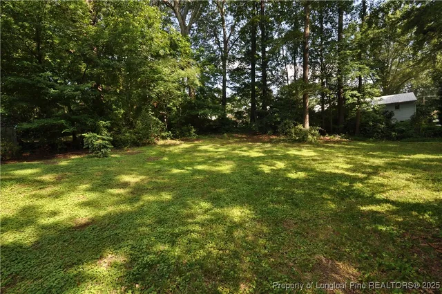 a view of yard with green space