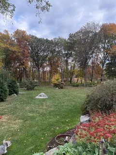a view of a park