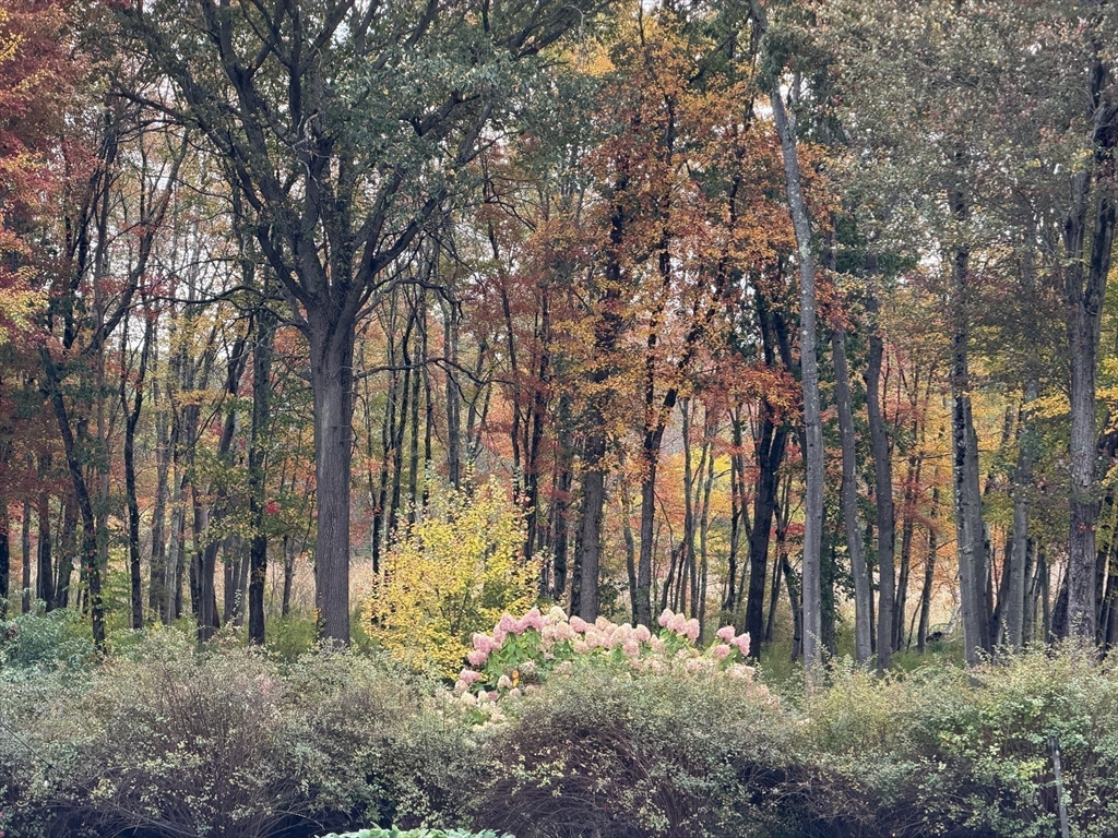 204 Virginia Road Concord, MA 01742 - Photo 39 of 39