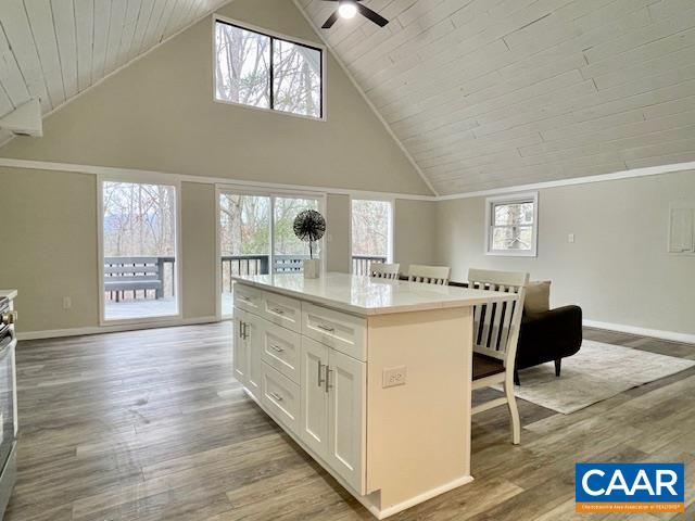 342 Flint Lake Road Stanardsville, VA 22973 - Photo 9 of 33 Gallery Image 9