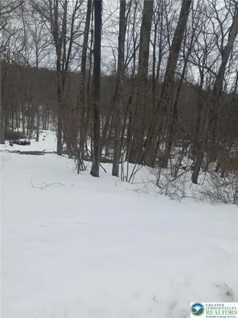 $8,500 | 88 Bear Cub Path, Scotrun, PA 18355