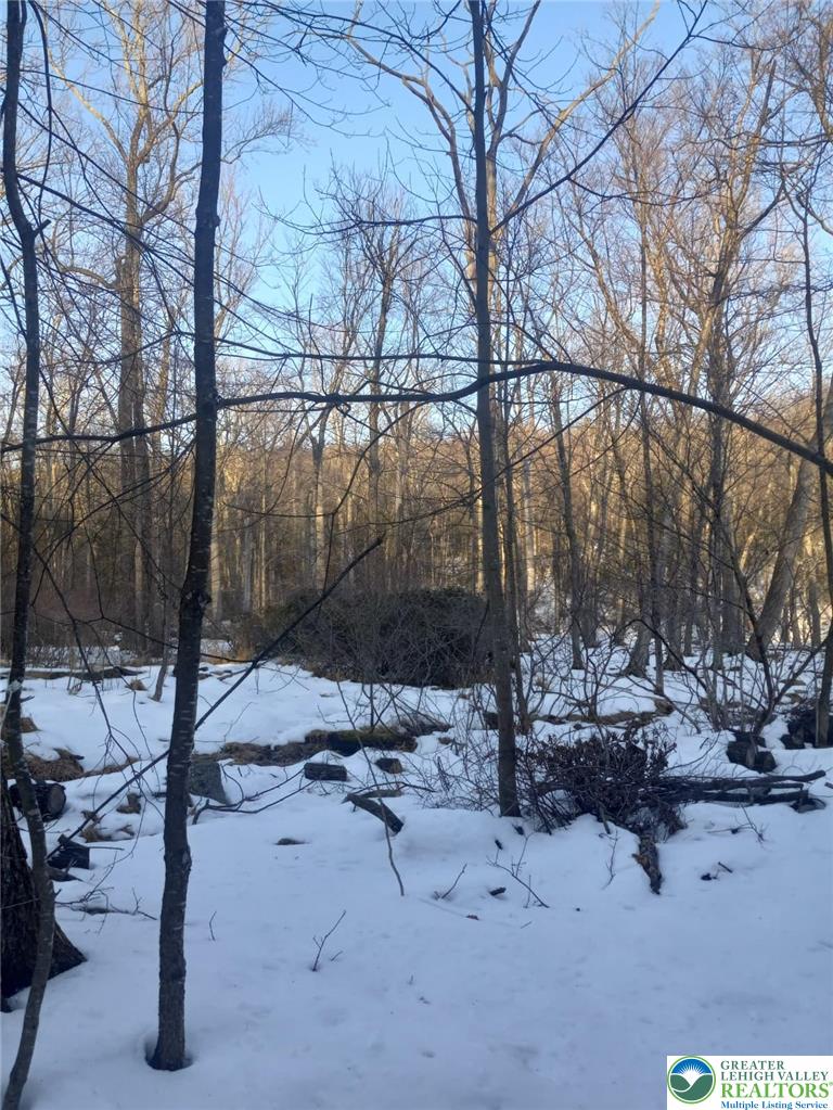 88 Bear Cub Path Scotrun, PA 18355 - Photo 2 of 2