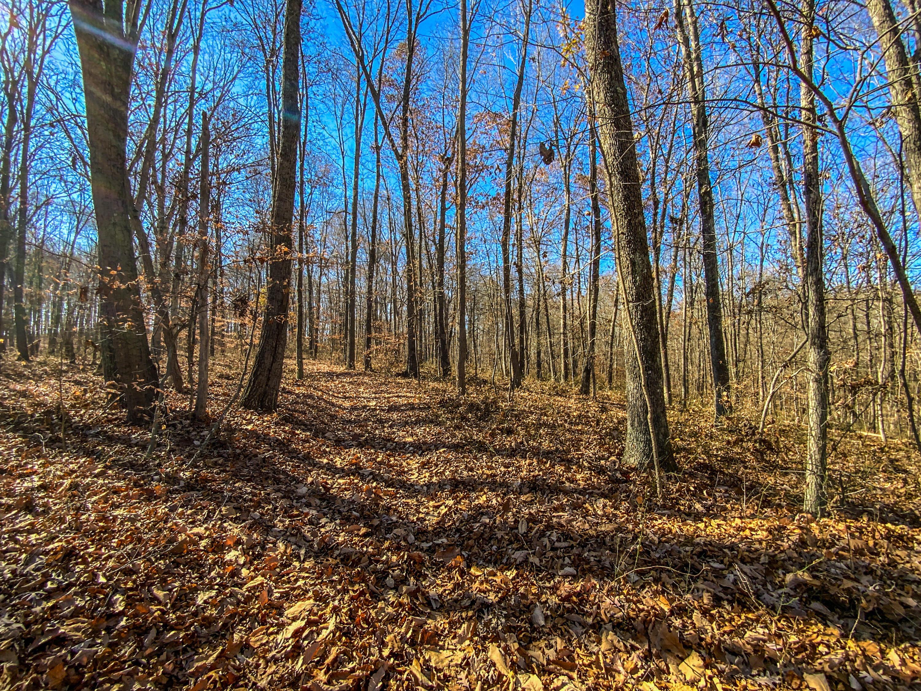 400 Bloomfield Road Piketon, OH 45661 - Photo 24 of 47 D89700C9-26C3-4660-AC8B-A7CD41A84AE2