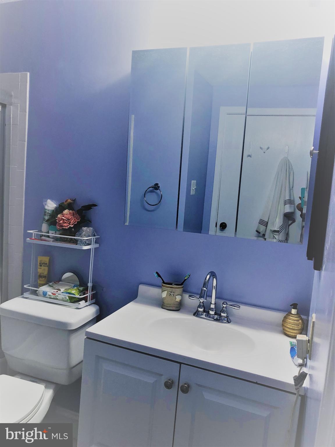 593 Old Stage Road Frederick, MD 21703 - Photo 10 of 16 Bathroom