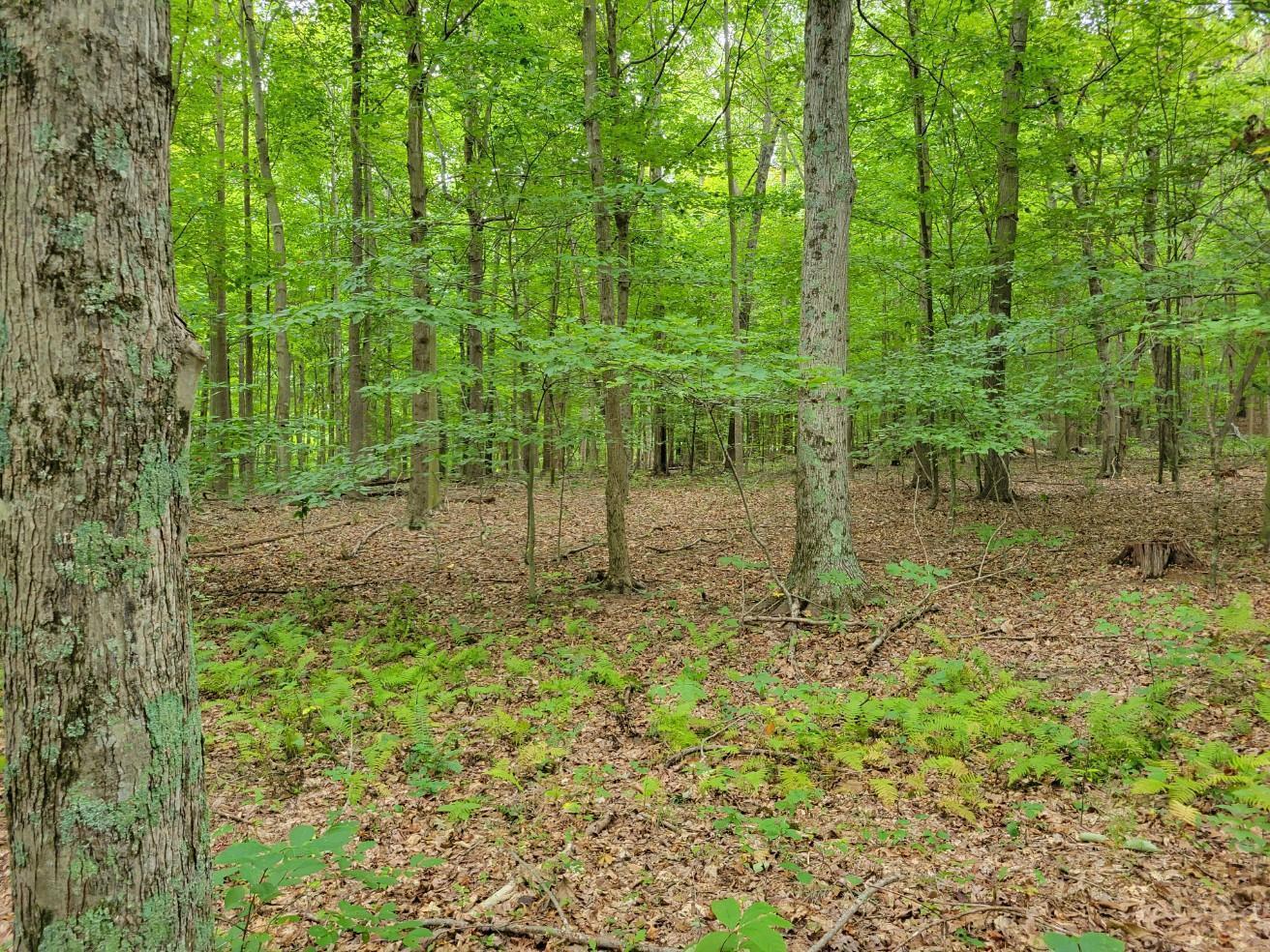 1162 Boswell Run Road Piketon, OH 45661 - Photo 4 of 20 123_1(3)