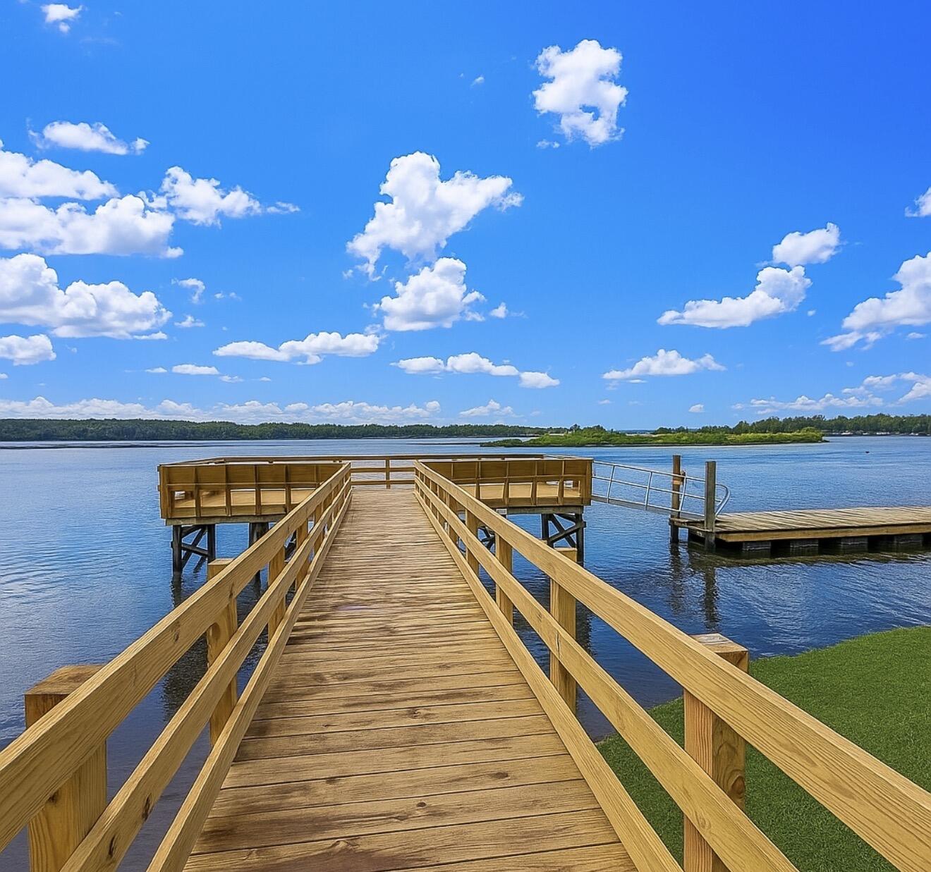 1813 State Rd S-8-560 Moncks Corner, SC 29461 - Photo 36 of 43 Neighborhood dock