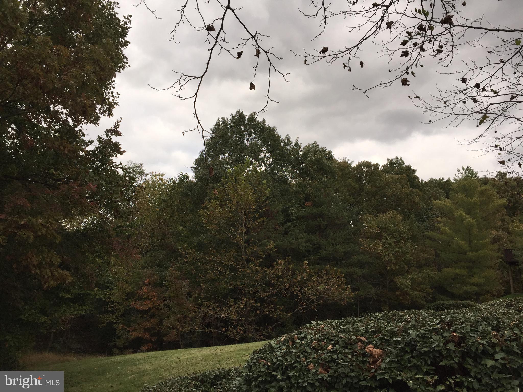 3509 Falling Run Road Laurel, MD 20724 - Photo 29 of 29 View!