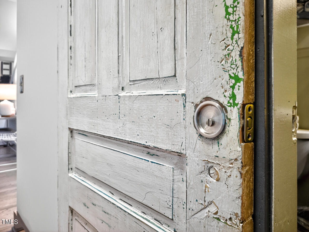 306 Spring Valley Road Carrboro, NC 27510 - Photo 23 of 38 bathroom door detail