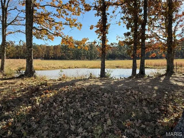 $490,000 | 16165 Hwy Af, Licking, MO 65542