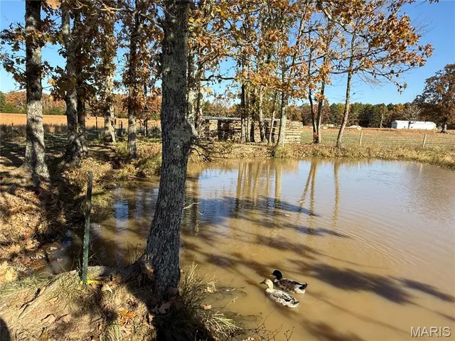 $490,000 | 16165 Hwy Af, Licking, MO 65542