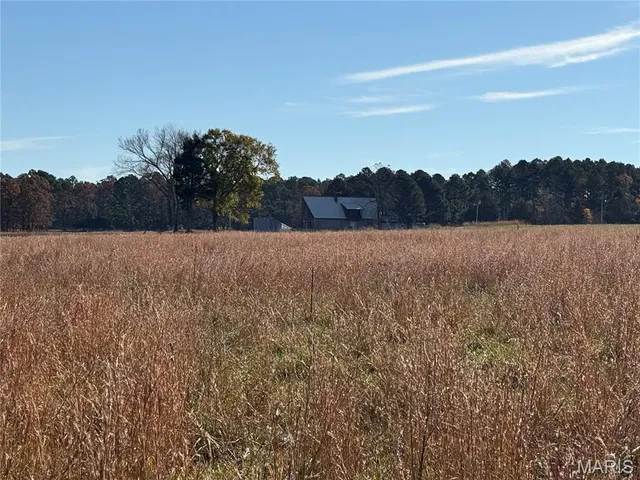 $490,000 | 16165 Hwy Af, Licking, MO 65542