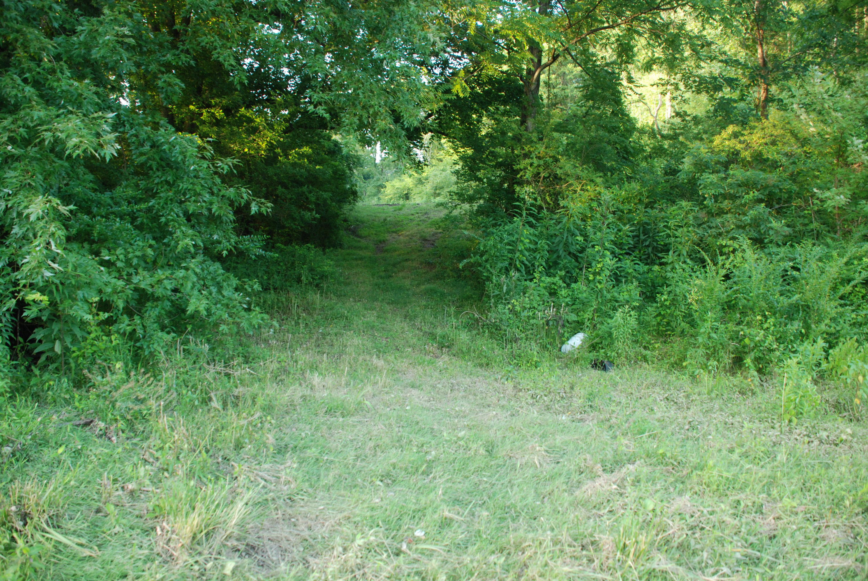 133 Lewallen Road Clinton, TN 37716 - Photo 14 of 25 DSC_0563