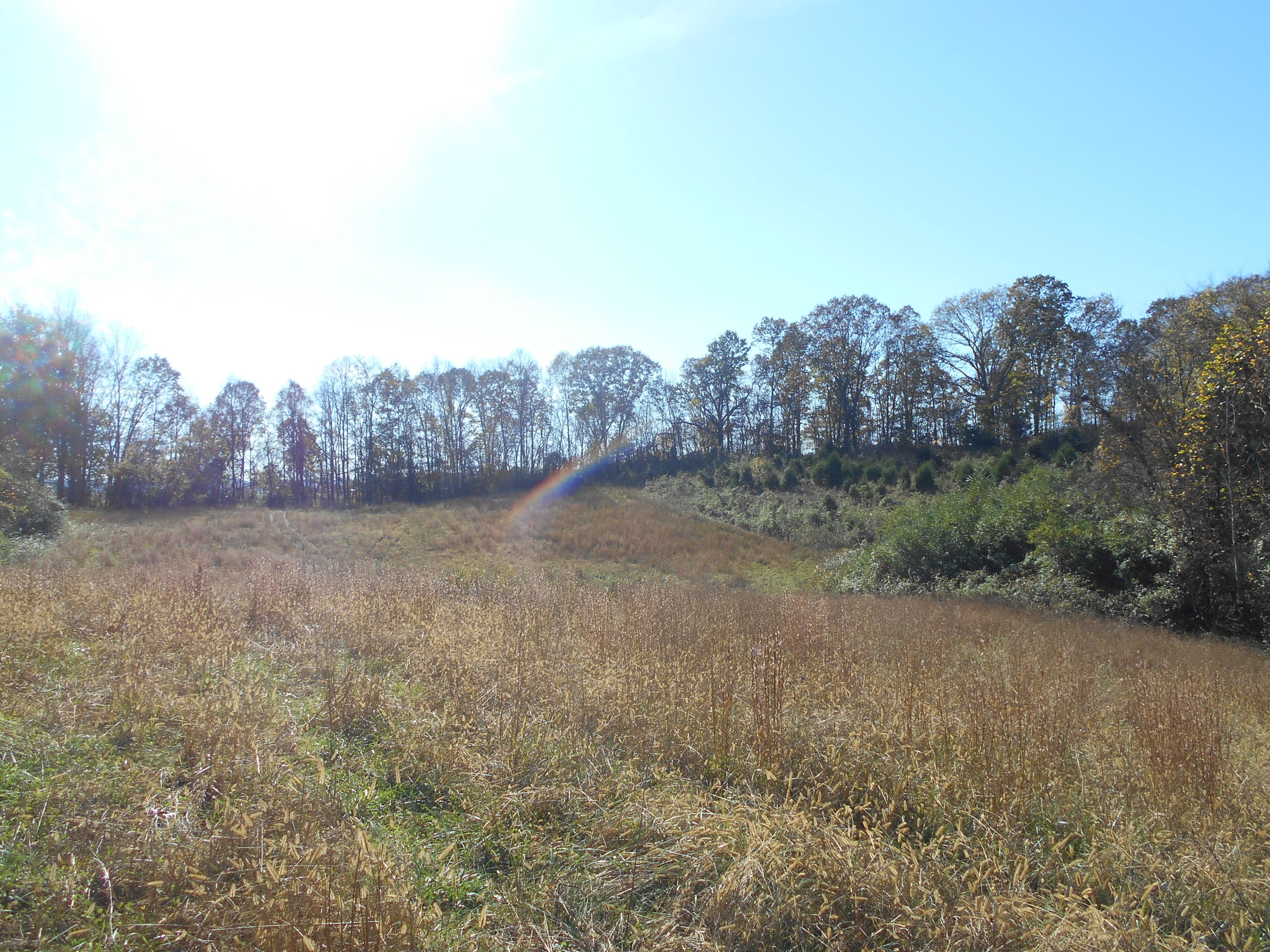 133 Lewallen Road Clinton, TN 37716 - Photo 22 of 25 DSCN3181