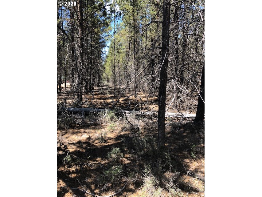 18 Split Rail Road La Pine, OR 97739 - Photo 2 of 3 Gallery Image 2