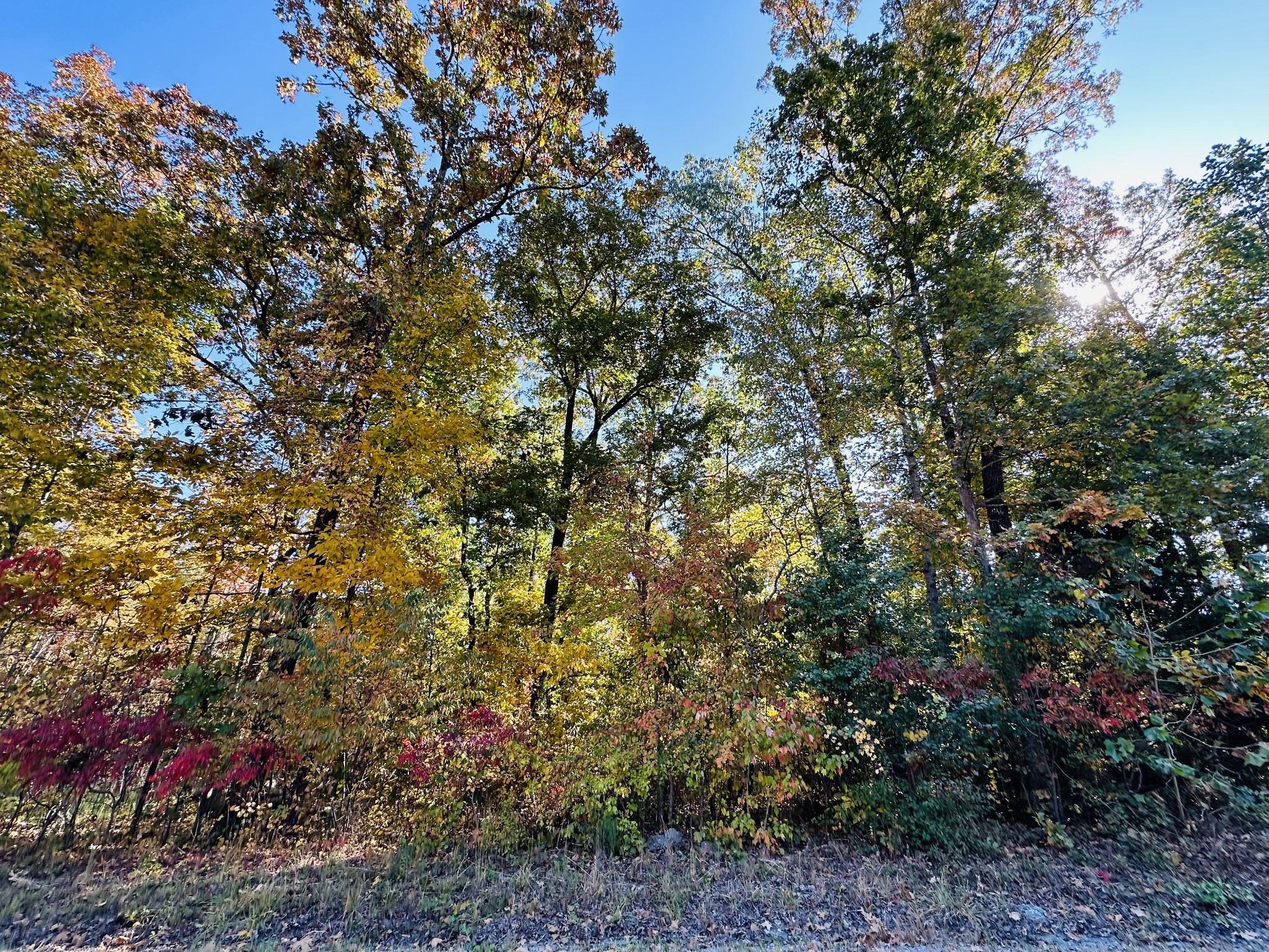 0 Carl Willis Road Flintville, TN 37335 - Photo 1 of 5 Gallery Image 1