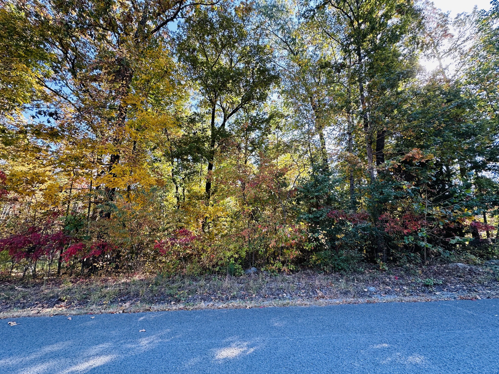 0 Carl Willis Road Flintville, TN 37335 - Photo 2 of 5 Gallery Image 2