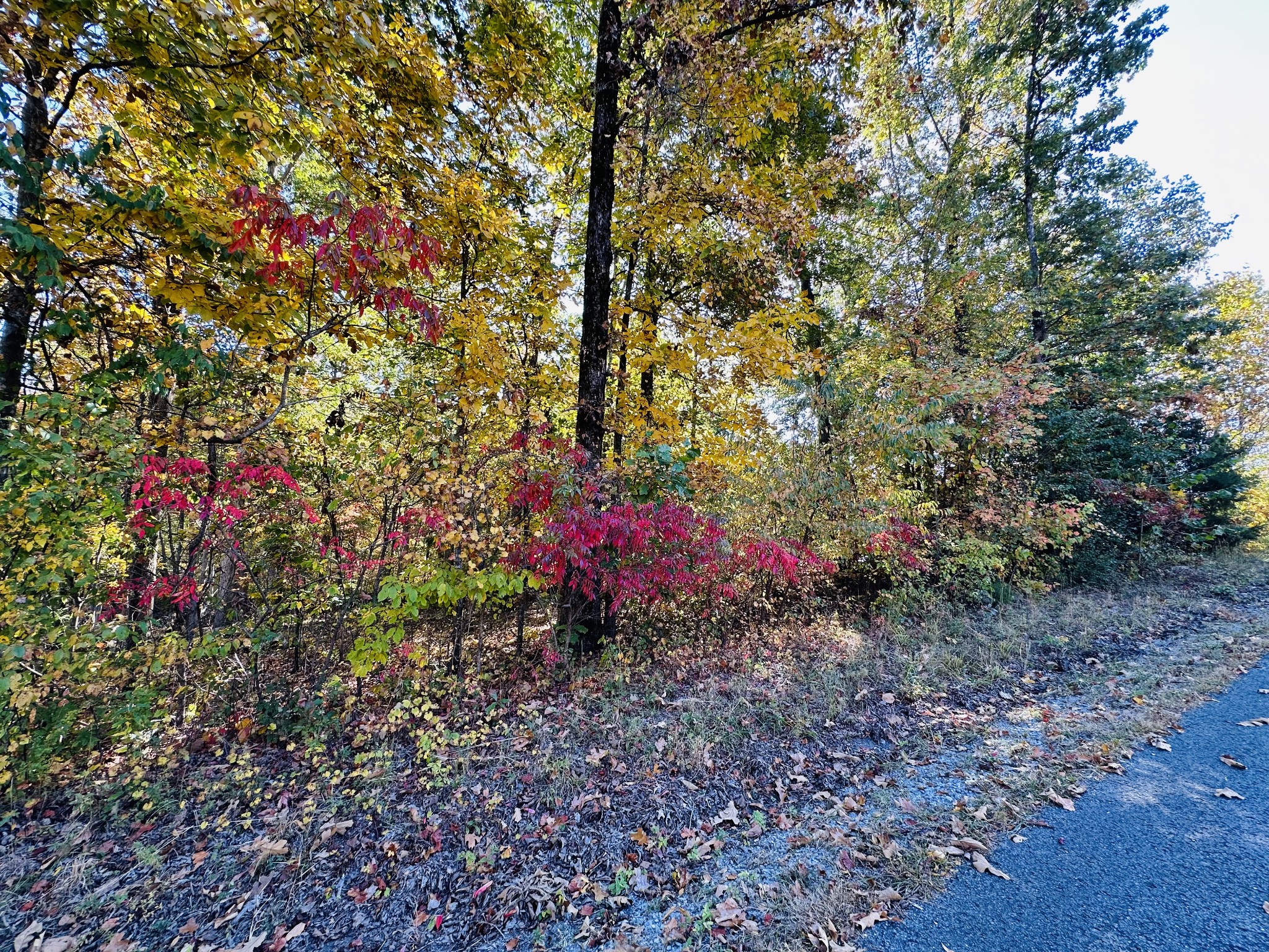 0 Carl Willis Road Flintville, TN 37335 - Photo 3 of 5 Gallery Image 3