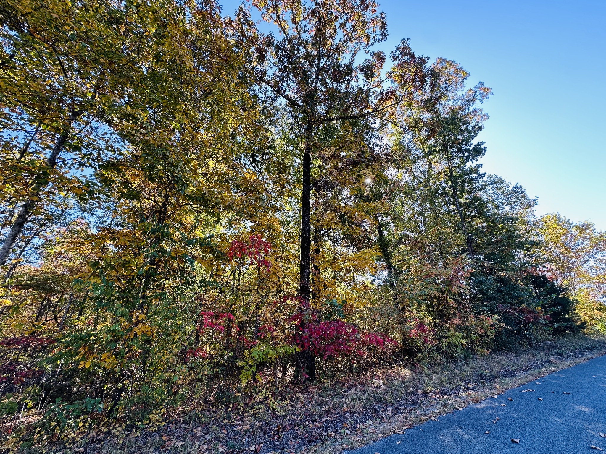 0 Carl Willis Road Flintville, TN 37335 - Photo 4 of 5 Gallery Image 4