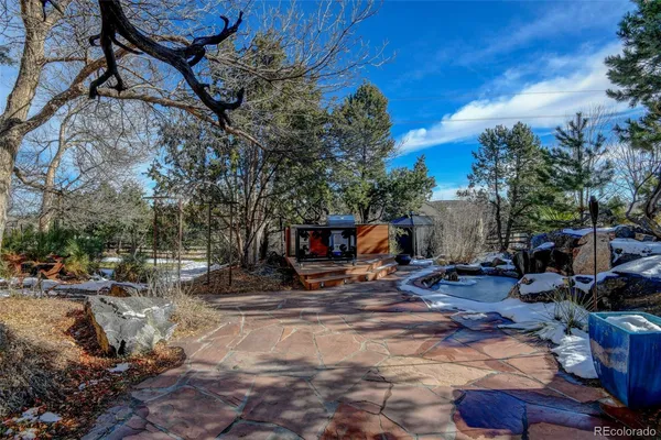 a view of backyard with plants and trees