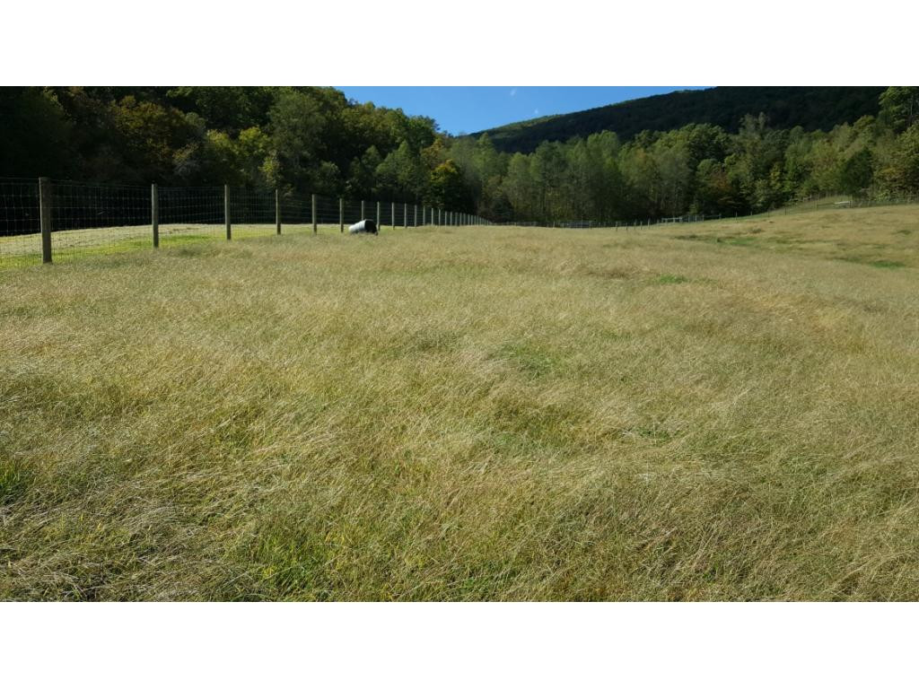 8125 Mendota Road Mendota, VA 24270 - Photo 15 of 15 Photo 15