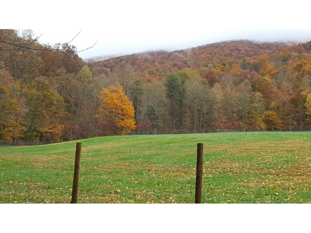 8125 Mendota Road Mendota, VA 24270 - Photo 3 of 15 Photo 3