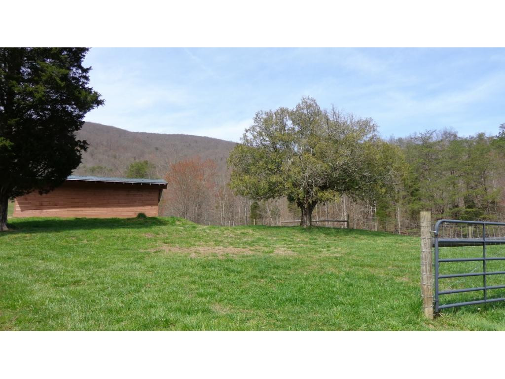 8125 Mendota Road Mendota, VA 24270 - Photo 5 of 15 Photo 5