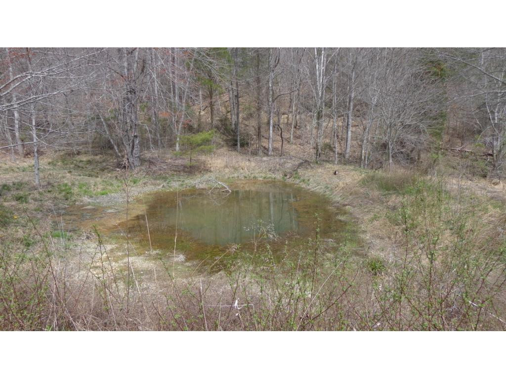 8125 Mendota Road Mendota, VA 24270 - Photo 8 of 15 Photo 8