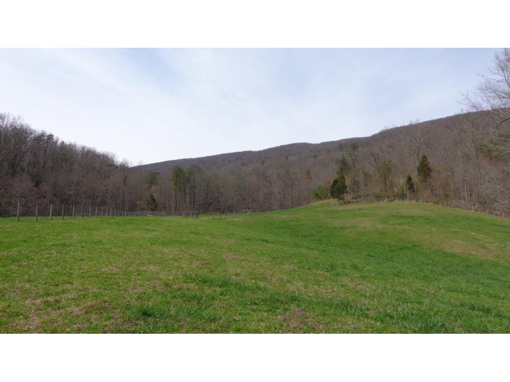 8125 Mendota Road Mendota, VA 24270 - Photo 10 of 15 Photo 10