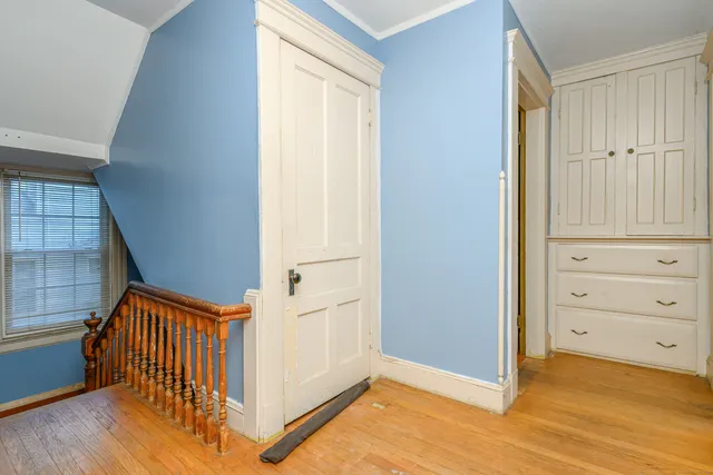 a view of road with large trees