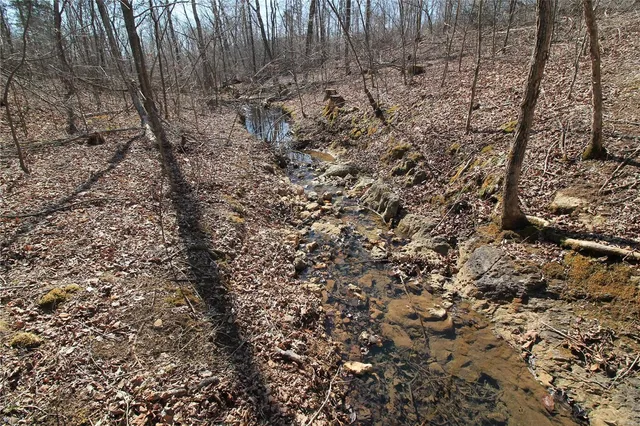 $35,665 | 0 Madison Cr, Fredericktown, MO 63645