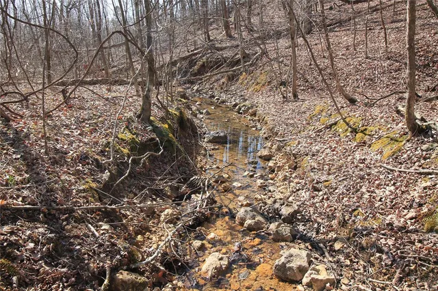 $35,665 | 0 Madison Cr, Fredericktown, MO 63645