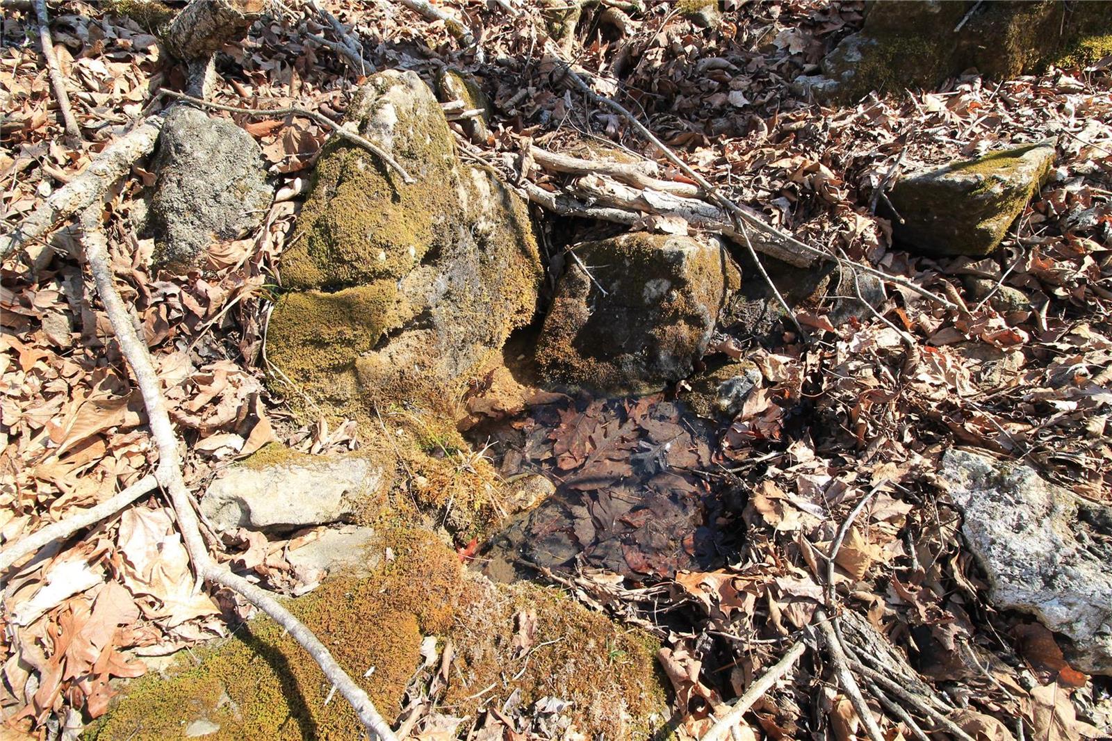 0 Madison Cr Fredericktown, MO 63645 - Photo 4 of 29