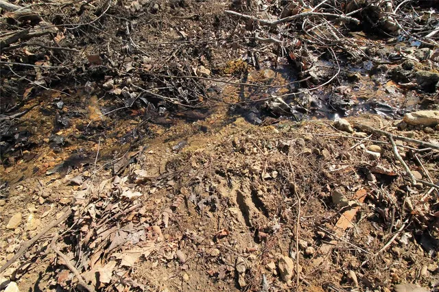 $35,665 | 0 Madison Cr, Fredericktown, MO 63645