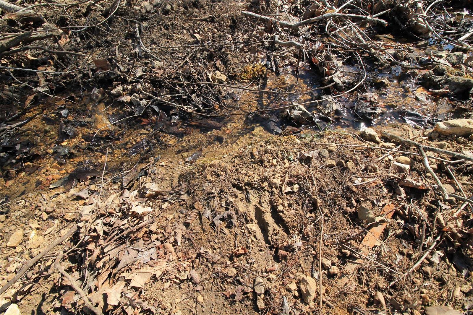 0 Madison Cr Fredericktown, MO 63645 - Photo 5 of 29